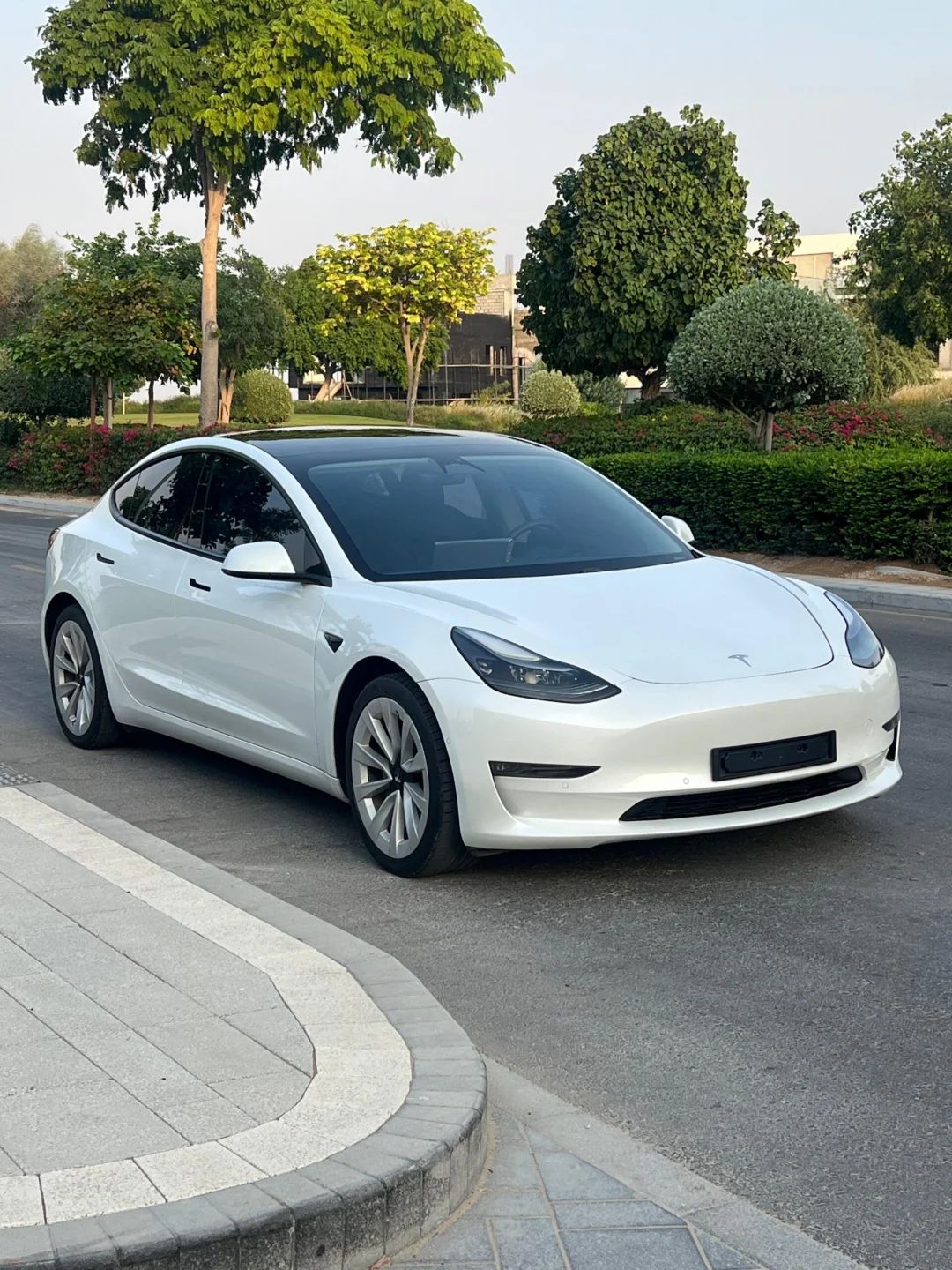 2021 Tesla Model 3 photo 3