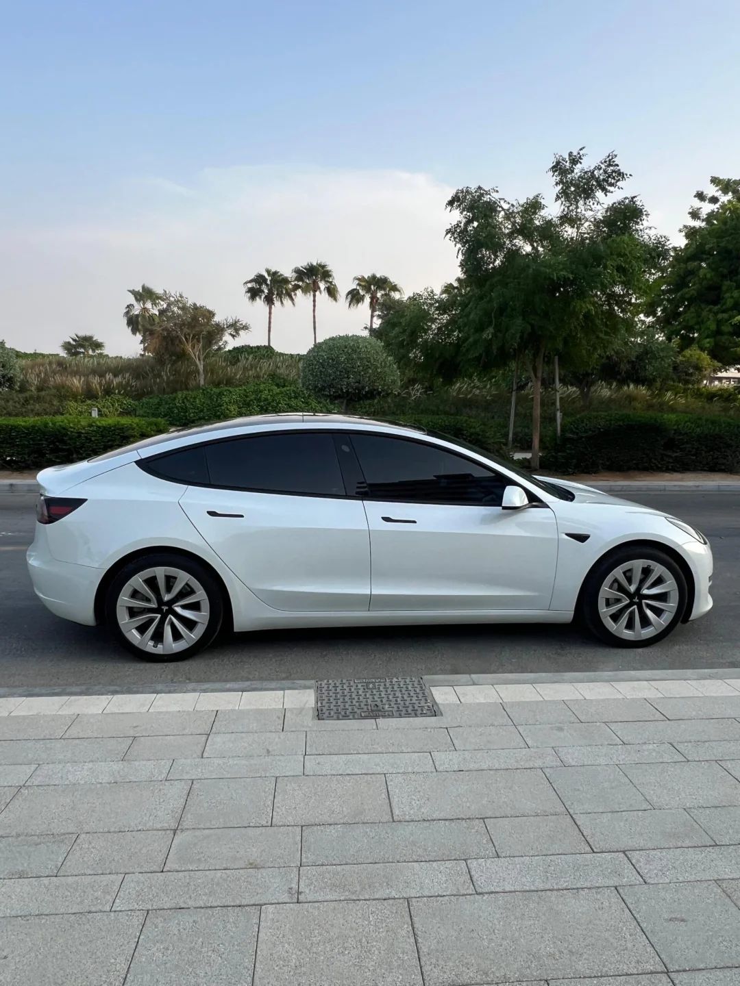 2021 Tesla Model 3 photo 4