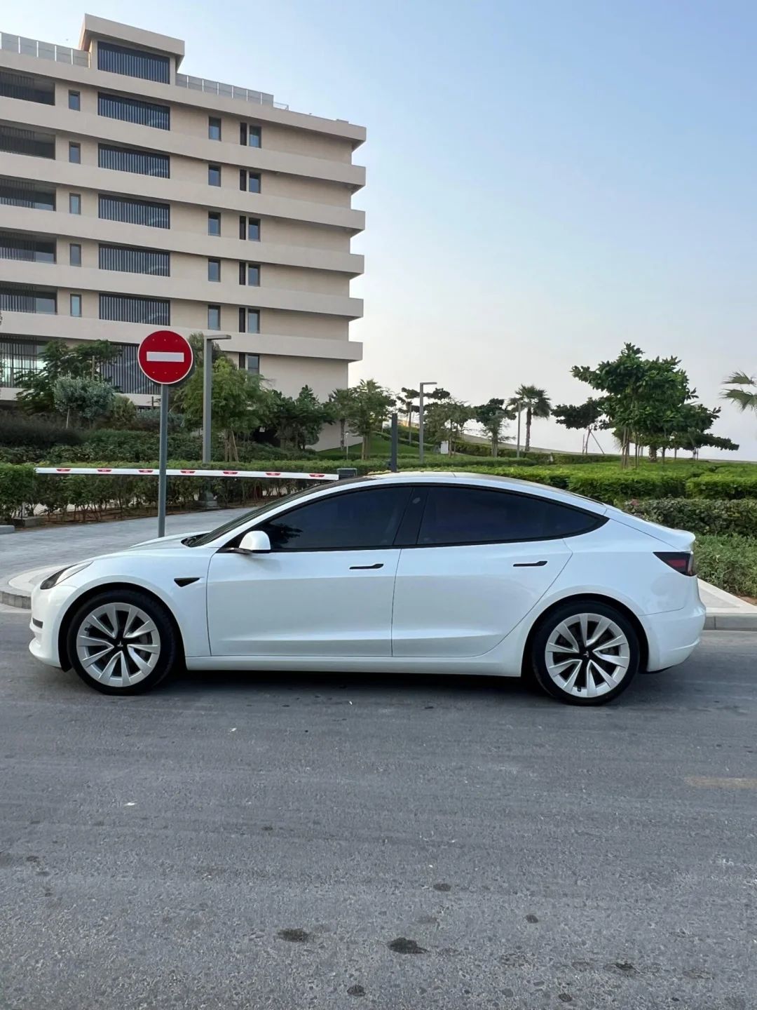 2021 Tesla Model 3 photo 5