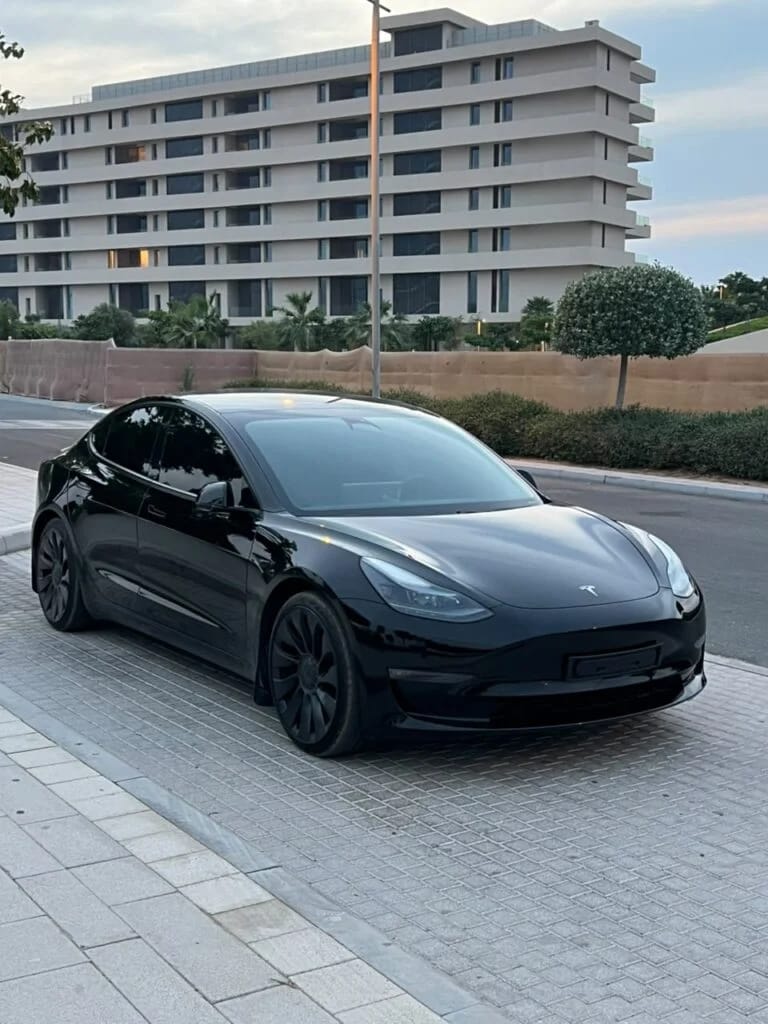 2021 Tesla Model 3 photo 2