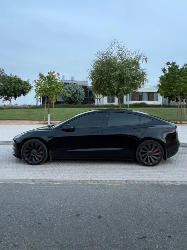 2021 Tesla Model 3 photo 3