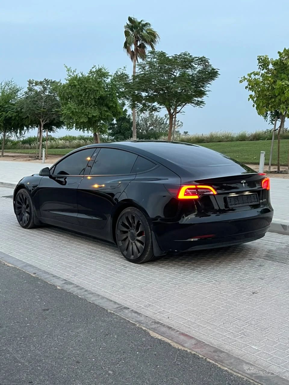 2021 Tesla Model 3 photo 5