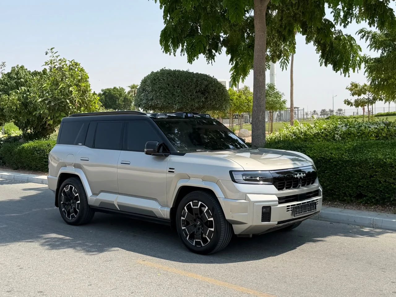 2025 BYD Leopard Series photo 3