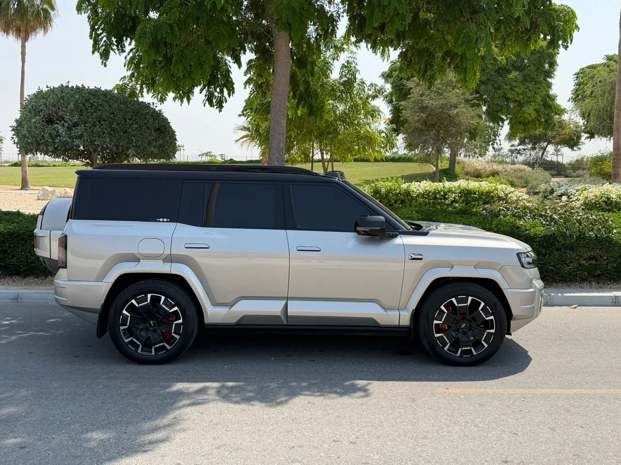 2025 BYD Leopard Series photo 4