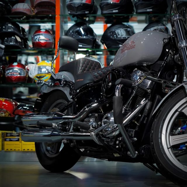 For Sale 2024 Harley-Davidson Softail Standard photo 3
