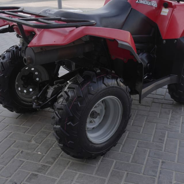 2009 Suzuki King photo 3