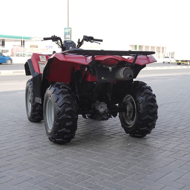 2009 Suzuki King photo 4