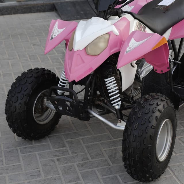 2010 Polaris Sportsman 90 photo 2