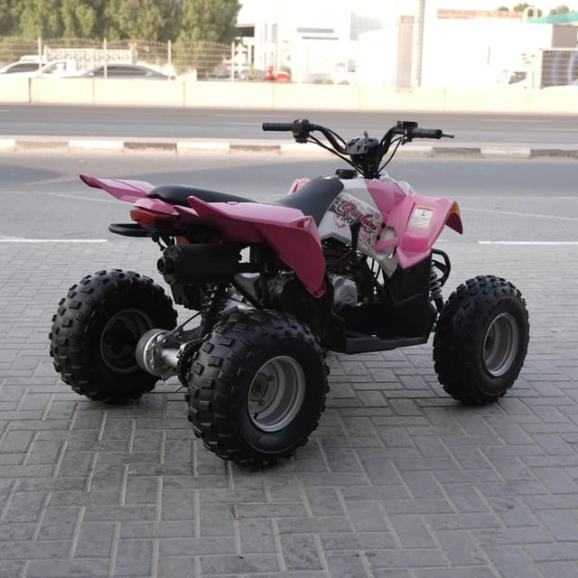 2010 Polaris Sportsman 90 photo 3
