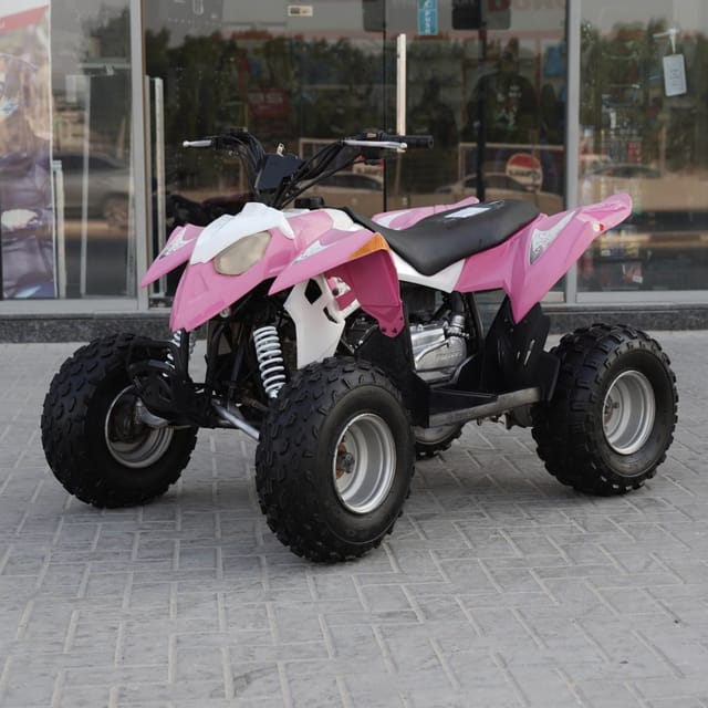 2010 Polaris Sportsman 90 photo 4