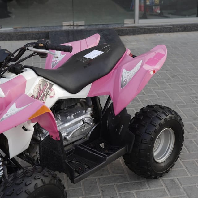 2010 Polaris Sportsman 90 photo 5