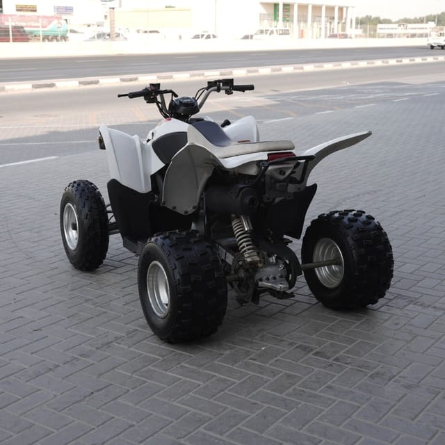 2021 Cobra 400 photo 2