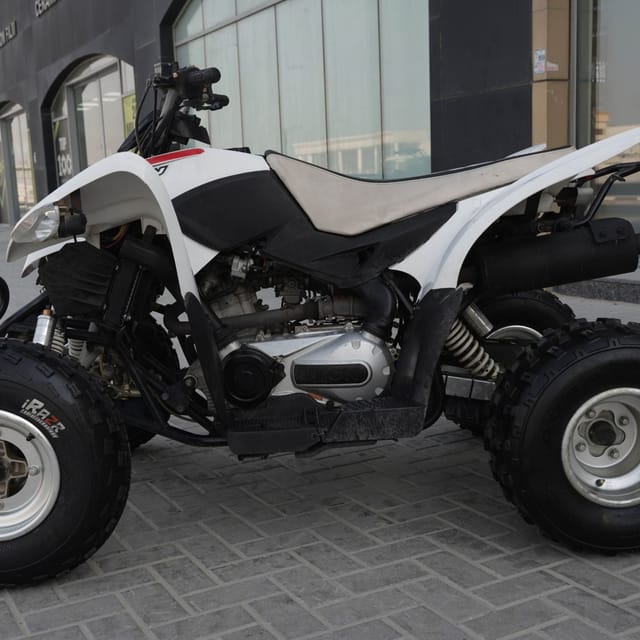 2021 Cobra 400 photo 3